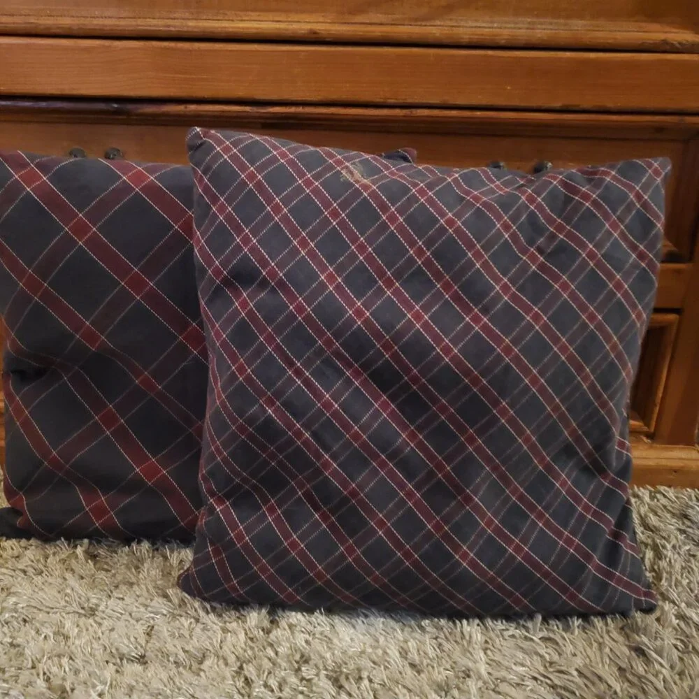 IKEA Fialisa Accent Pillows & Ingerilse Pillow Covers EUC